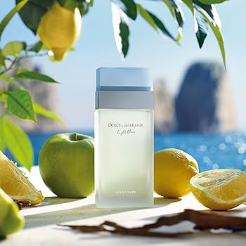 Dolce & Gabbana Light Blue Eau de Toilette Women's Spray Perfume (25 ml, 50 ml, 100 ml)